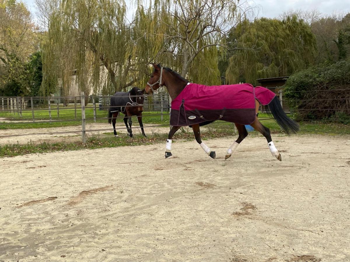 Bastidette Florestane Saint-Remy-de-Provence Bagian luar foto